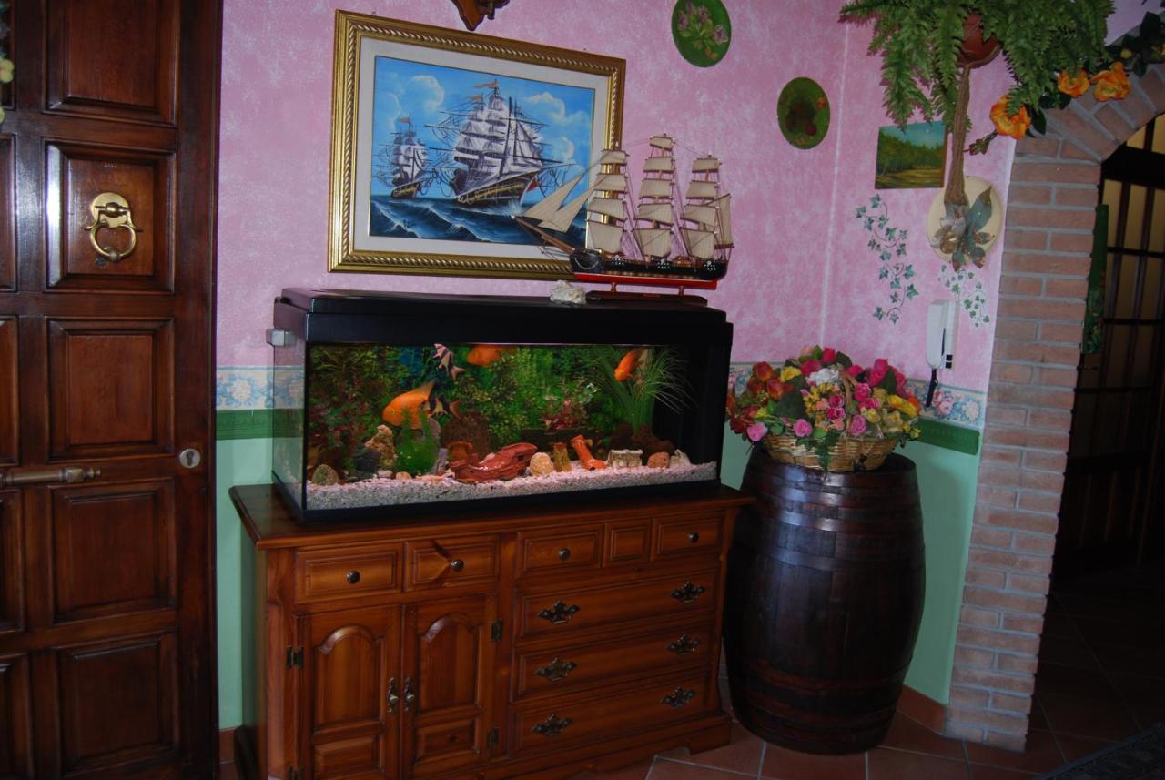 Bed and Breakfast Sette Nani Elmas Exterior foto
